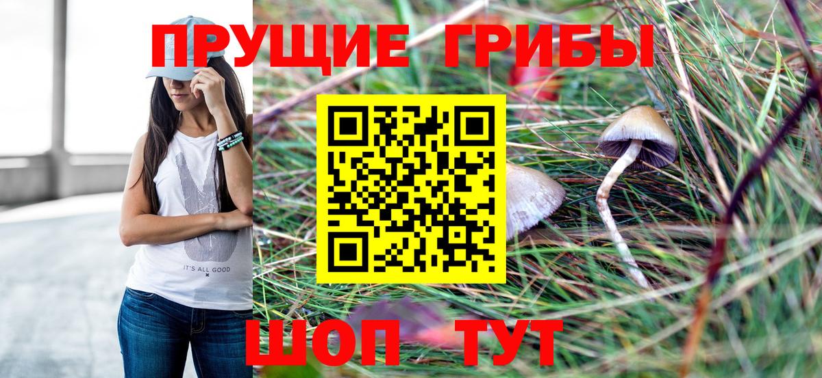 Кондопога  Галлюциногенные грибы Psilocybe  Вход с VPN  Псилоцибиновые грибы мицелий 