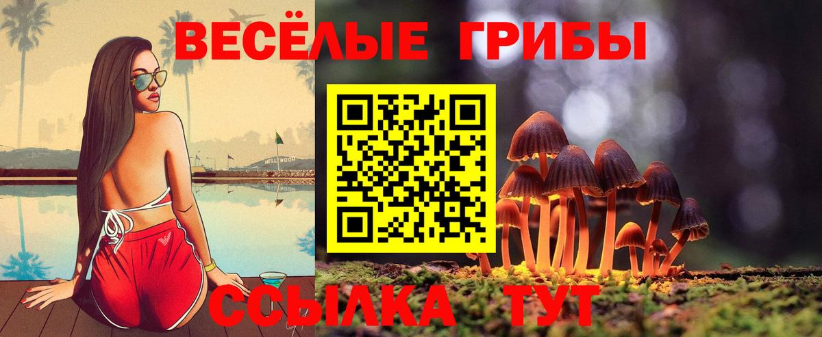 Галлюциногенные грибы прущие грибы Кондопога